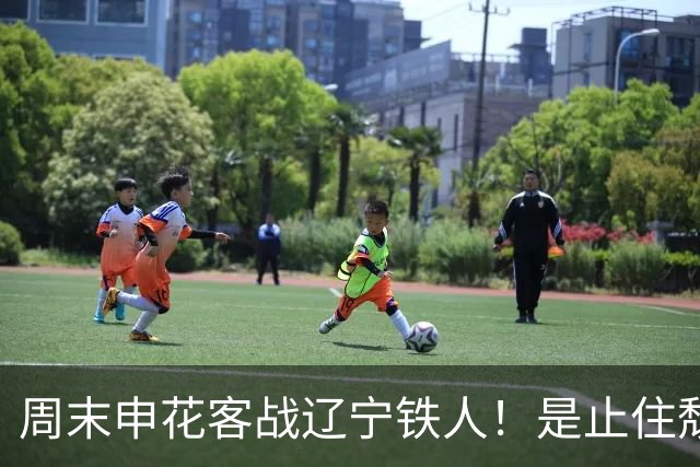 周末申花客战辽宁铁人！是止住颓势最好时候