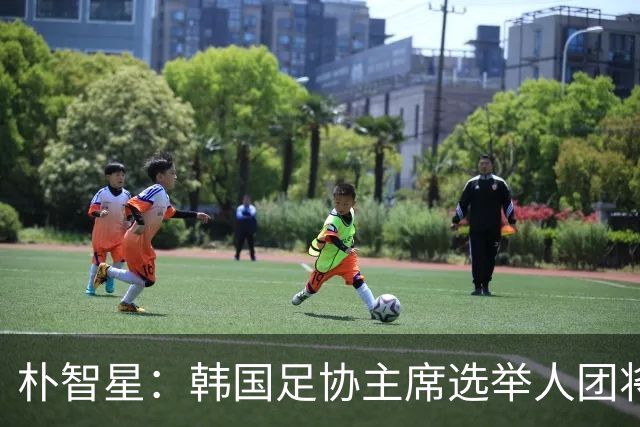 朴智星：韩国足协主席选举人团将扩大至1万人以上，增加足球各界人士